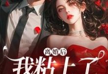 主角陆骁舒愿小说离婚后,我粘上了那位大佬免费阅读-书评酱