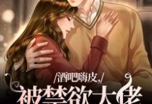 已完结小说《酒吧嗨皮，被禁欲大佬抱着哄》在线阅读-书评酱