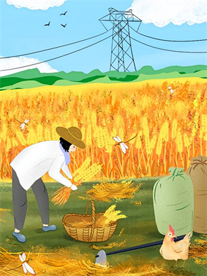 乔知夏程司凛小说不曾共度凛冬初夏在线阅读章节