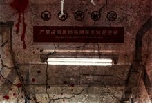 小说《凶案没目击者?那这些动物是什么》在线章节阅读-书评酱