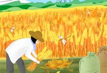 在线寻找山高水远不相逢小说的无删减版本-书评酱