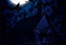 完结版《逃离大佬掌控后,他居然变温驯了!》免费阅读-书评酱