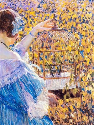 从赘婿开始崛起小说有没有完整的免费版本在线阅读？