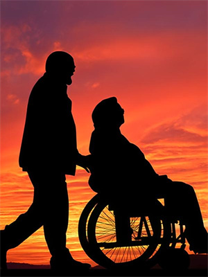 以心为药沈惊蛰林知夏小说完结版章节在线阅读