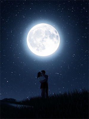 寻找跨国追凶，我的男律师又帅又靠谱小说的最新更新章节